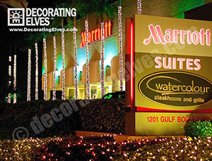 Commercial-Holiday-Lighting-Trunk-wrapped-Palms-with-minis-through-out-bushes-www.decoratingelves.com