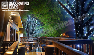 Deck-Lighting-Tree-Wrap-Lighting-www.decoratingelves.com