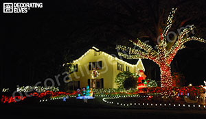 Whole-Yard-Holiday-Lighting-Display-www.decoratingelves.com