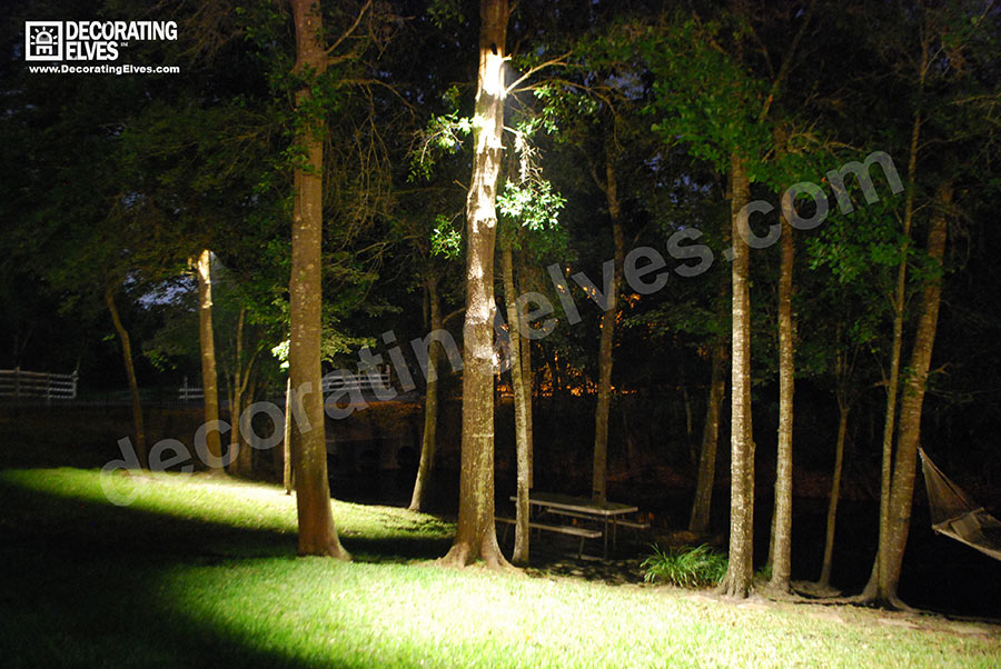 By themselves, downlighting fixtures bring a glowing ambiance to your landscape