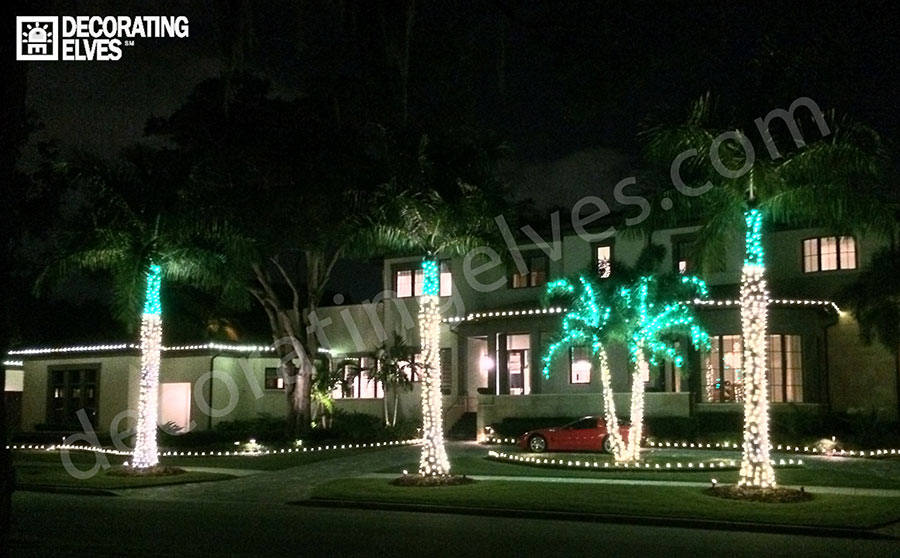 LED-Mini-Trunk-Wrap-Green-Knuckle-and-Fronds-Staked-lighting-outlining-beds-roof-outlined-www