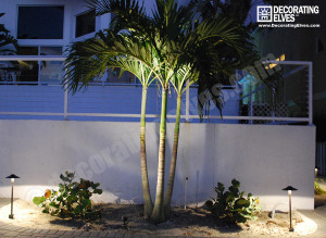 LED-Uplighting-on-palm,-path-lighting-on-pavers-www.decoratingelves.com