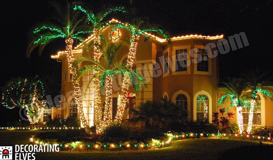 Palm-trunk-wrapped-with-LED-Minis-Frond-with-LED-Minis-Staked-C9-lighting-alternating-Green-and-Warm-White-C9-www.decoratingelves.com