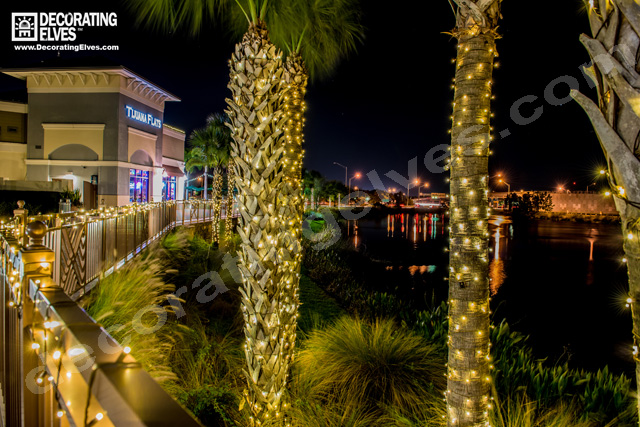 Rail Lighting and tree trunk lighting go together particularly well