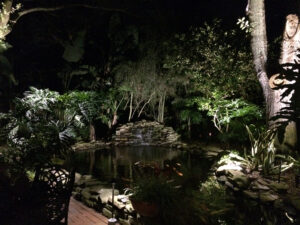 landscape lighting pond