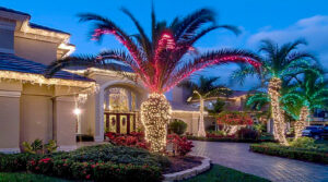 christmas lights on palms in front of elegant home