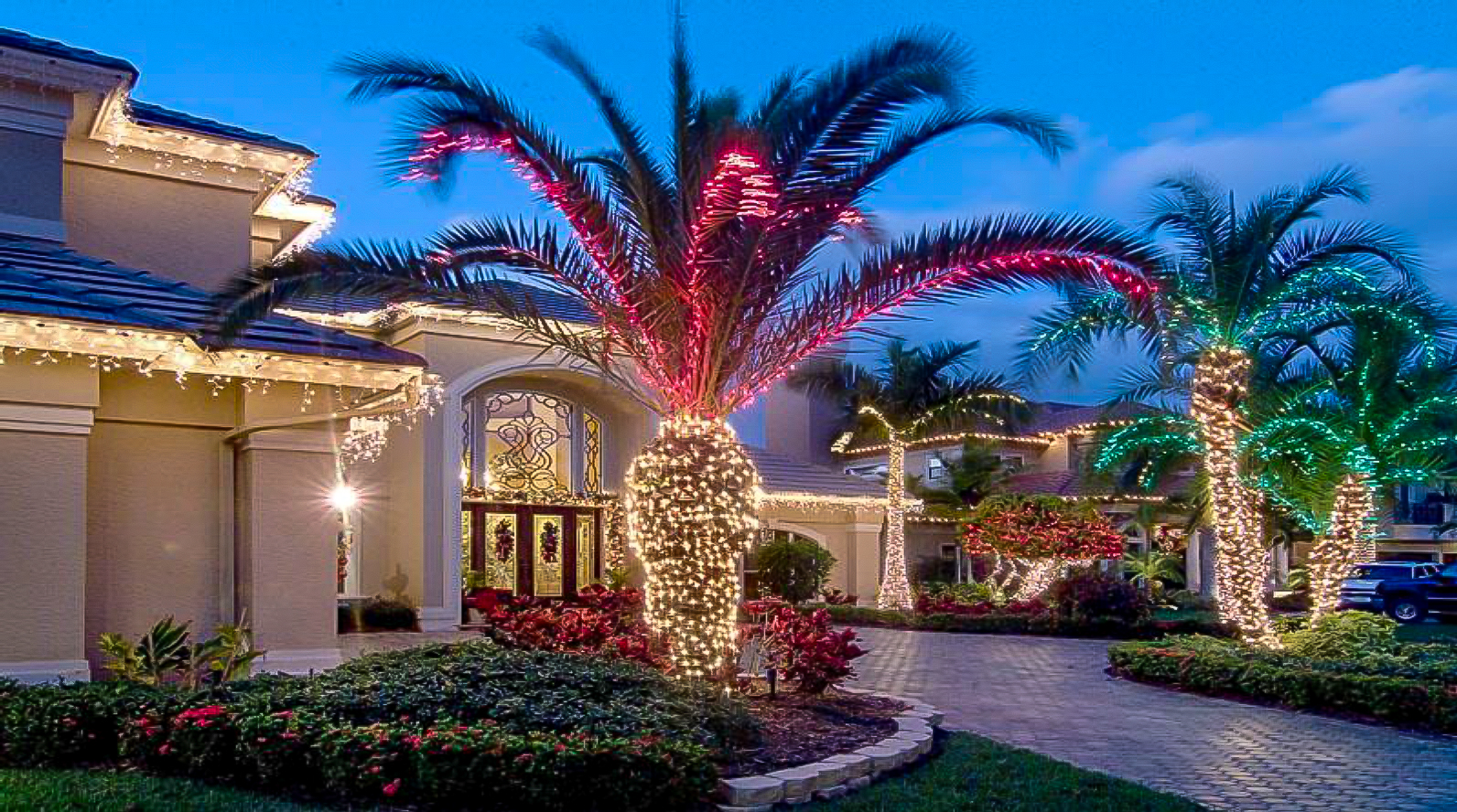 Palm-trunk-wrapped-with-LED-Minis-Frond-with-LED-Minis-Staked-C9-lighting-alternating-Red-Green-and-Warm-White-C9-www.decoratingelves.com