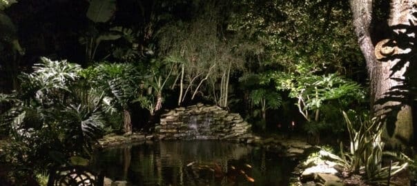 backyard pond with moon lighting