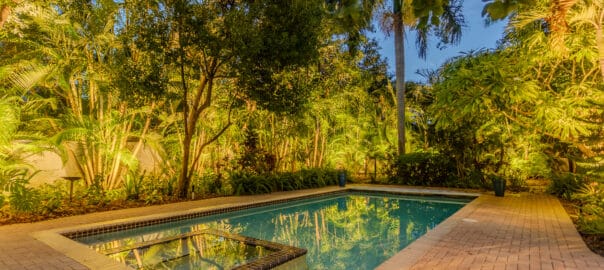 Beautifully uplit trees in pool area of St. Petersburg, FL home