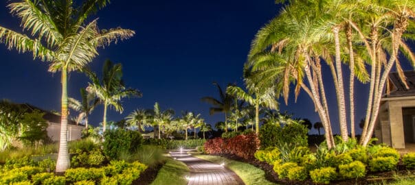 LED lit tropical outdoor space